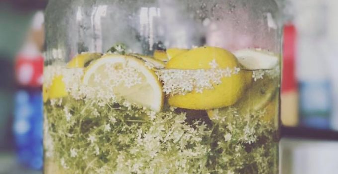 Sciroppo di fiori di sambuco senza acido citrico